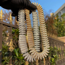 SPIKE CHAIN