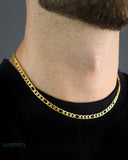 CLEAN FIGARO CHAIN - 5MM GOLD Chains