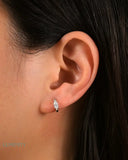 SPARKLAR EARRINGS Earrings