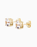 STUDS - GOLD Earrings